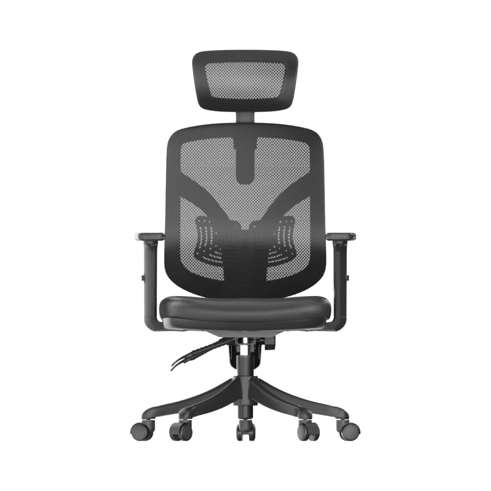 Sihoo M56 Ergonomic Office Chair