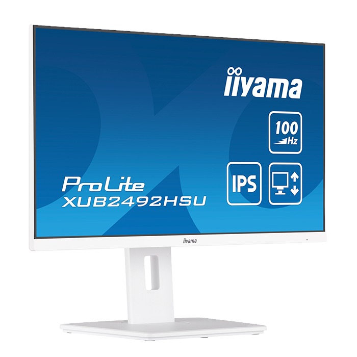 iiyama ProLite XUB2492HSU-W6