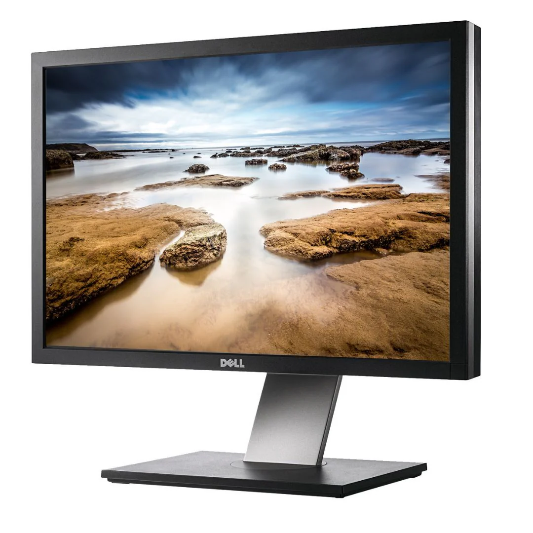 Dell P2410