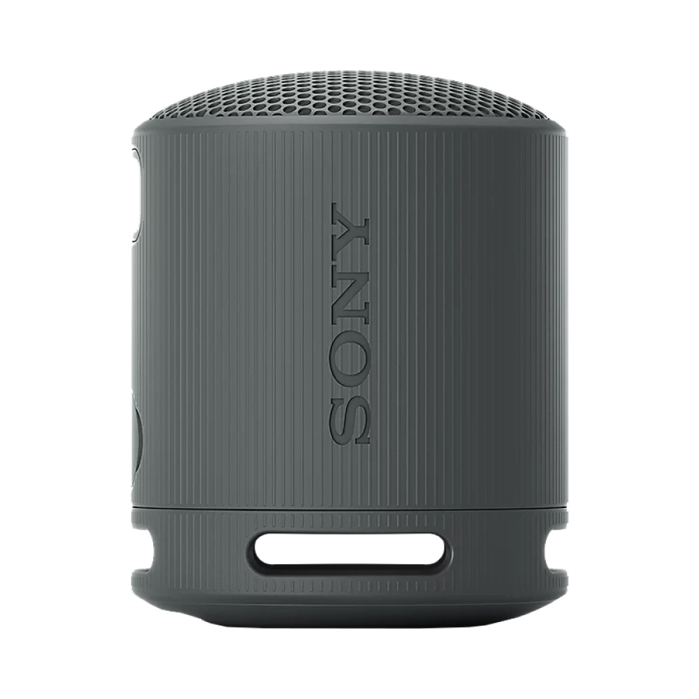 Sony SRS-XB100