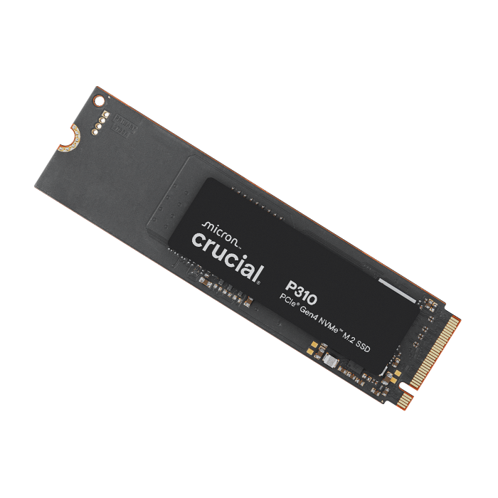 Crucial P310