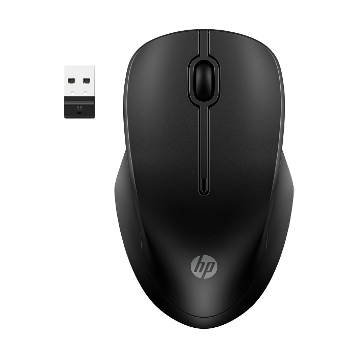 HP 255 Dual Wireless Mouse