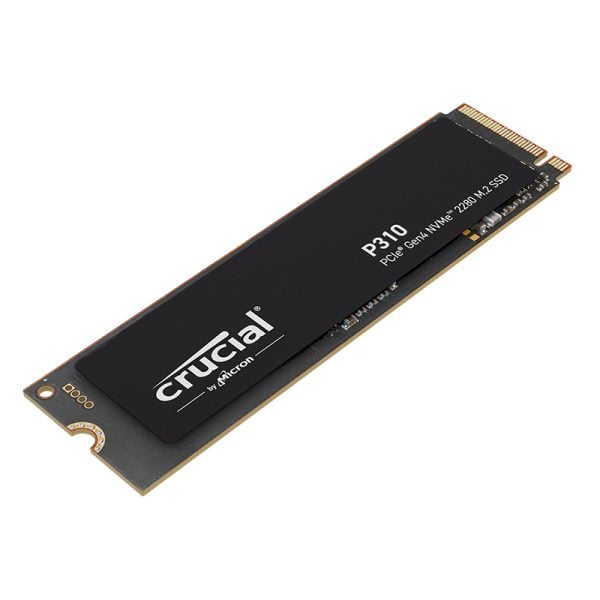 Crucial P310