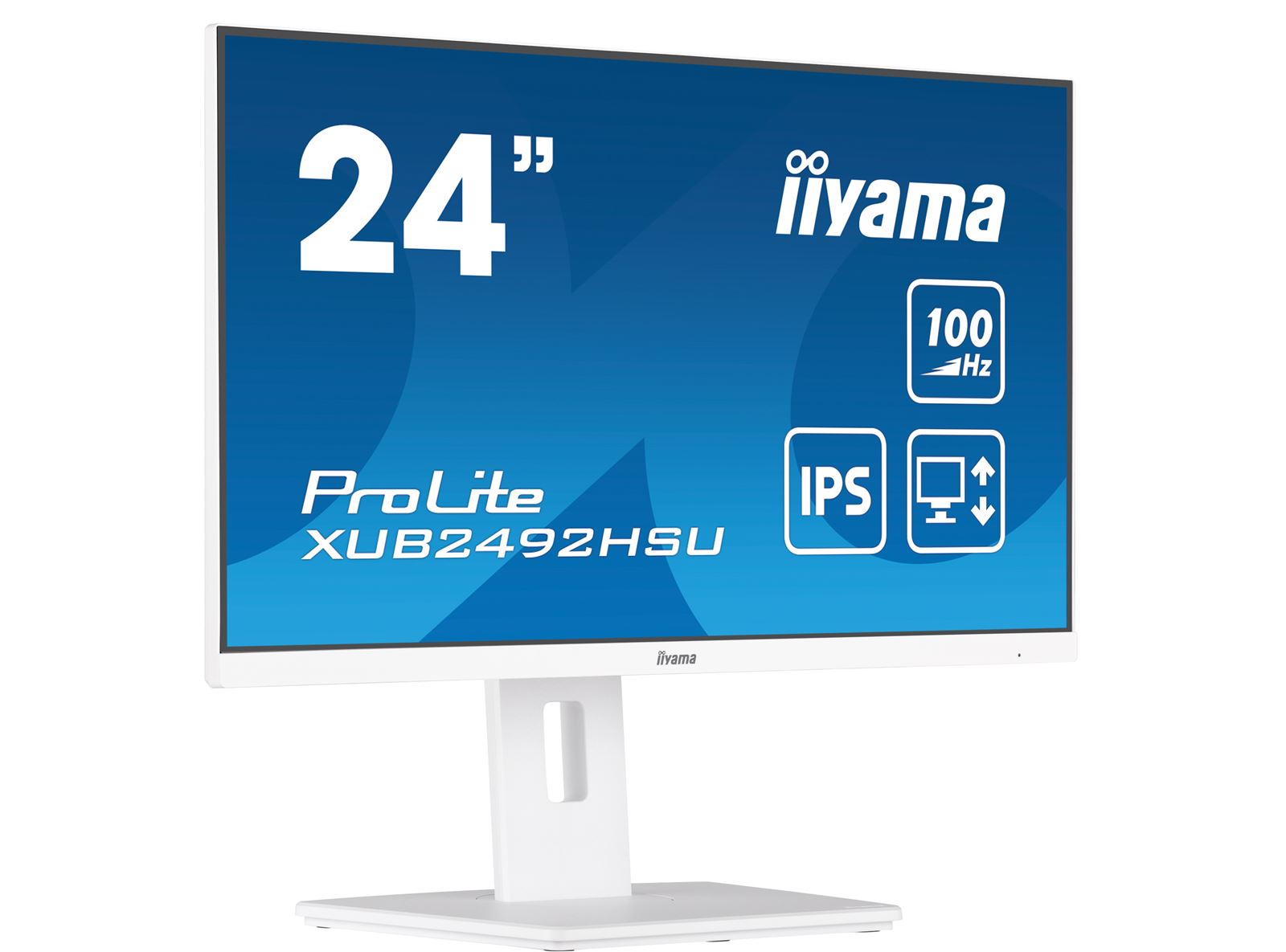 iiyama ProLite XUB2492HSU-W6