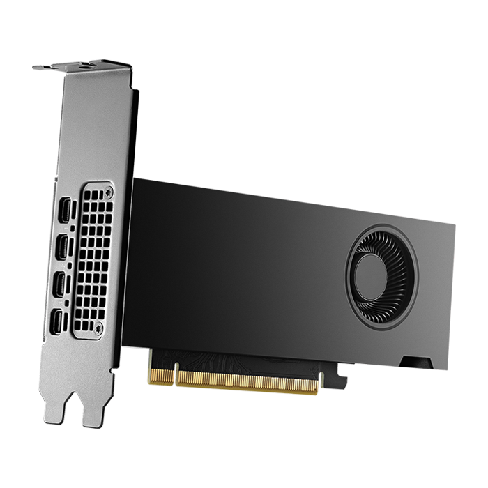 PNY NVIDIA RTX 2000 Ada Generation