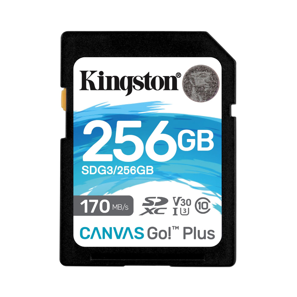 Kingston Canvas Go! Plus 256GB SDXC