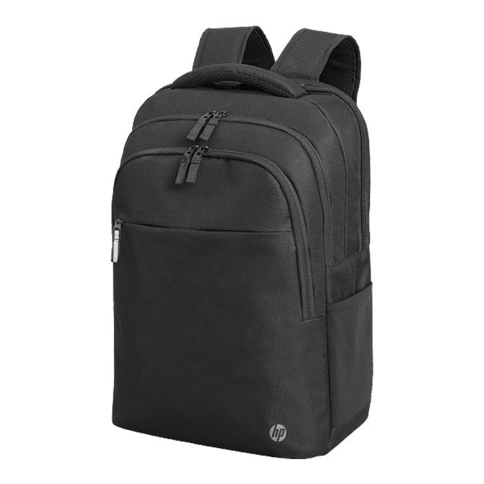 HP Professional 17.3-inch Backpack