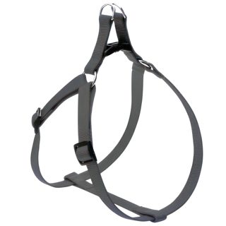 Qen Camon Mm X-120 Trupore Per X Ngjyra E Zeze 120cm 25mm