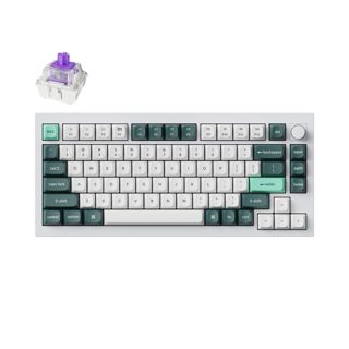 Keychron Q Q1 HE M1 HALL Effect QMK VIA Online Customization Wireless Bluetooth Mechanical With Purple Switch US Layout Q1H-