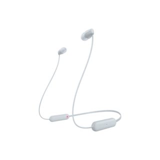 Sony WIC100W CE7