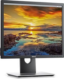Dell P1917S I Zi I Argjendtë