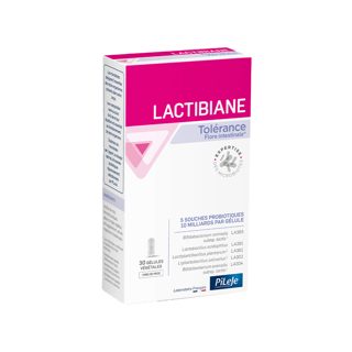 Pileje Lactibiane Tolerance Intestinal Flora