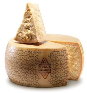 Agriform Grana Padano