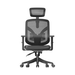 Sihoo M56 Ergonomic Office Chair