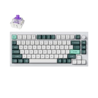 Keychron Q Q1 HE Q1H-P1 QMK VIA Wireless Bluetooth Mechanical Hall Effect Purple Switch Hot-Swappable 75% US Layout White Green Q1H-P1