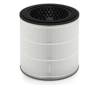 Electrolux FA31 EFFCAR2 Filter Pastrues Ajri