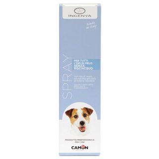 Camon 250 ml Shampo E Thate 250ml