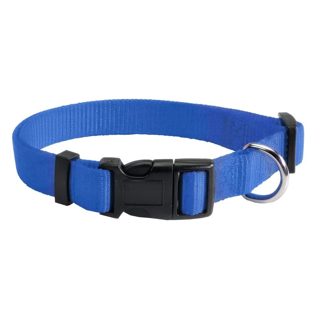 Cm Qen Camon Mm X-40 Qafore Per X -65 Ngjyra Blu 25mm 65cm