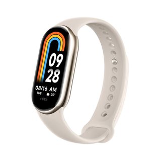 Xiaomi Mi Band Smartwatch