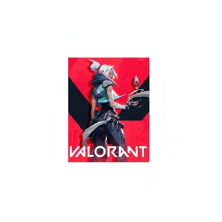 Riot Games Valorant Gift Card 100 USD