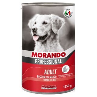 Migliorcane prof manzo