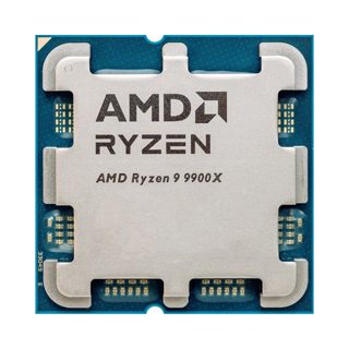 Amd Ryzen 9 9900X Tray Processor
