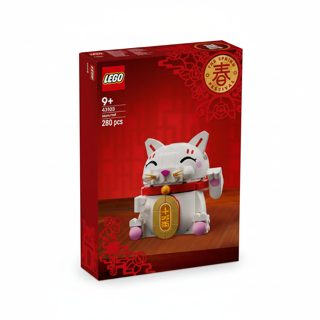 LEGO CAT-40813 Icons Lucky