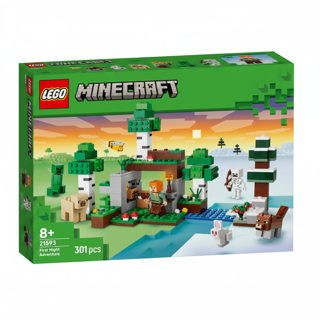 LEGO Minecraft First Night Adventure 21593