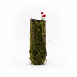 Casal MYSHK-12 37cm