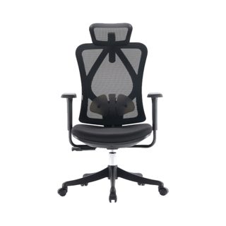 Sihoo M18C Ergonomic Office Chair