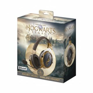Lexip Hogwarts Legacy Ancient Magic X Warner