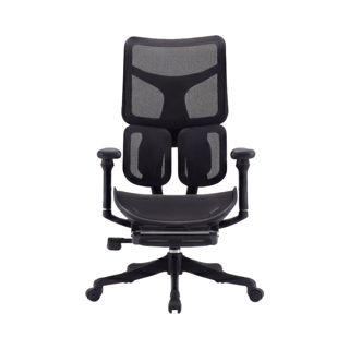 Sihoo S100 Ergonomic Chair