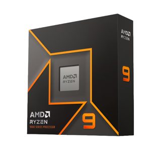 Amd Ryzen 9 9900X Processor