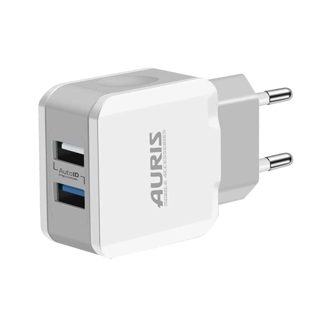Karikues CH17 Fishë Auris 3.4A Fishë USB Type-C