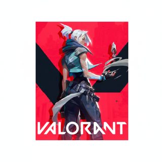 Riot Games Valorant Gift Card 10 USD