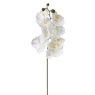 Orchide Lule artificiale PE Poliestër Të Ndryshme 108 108cm