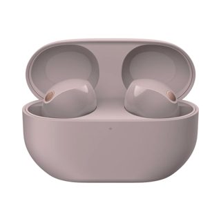 Sony Truly Wireless Noise Canceling Earbuds ANC