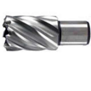 Punto FREZE-12 X 30 Per Trapan Magnetik 12x30mm 30mm