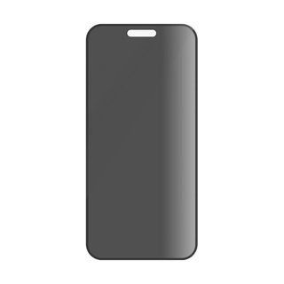 Xham Apple iPhone 16 PANZERGLASS Priv