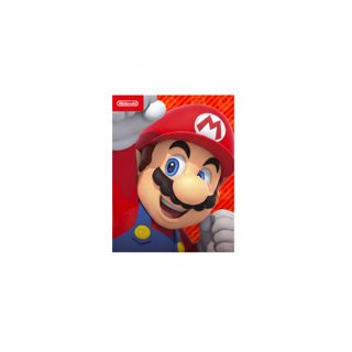Nintendo 10 DG EShop Account US PP
