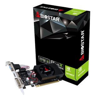 Biostar NVIDIA GT 730 2GB