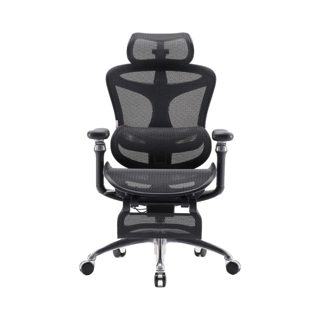 Sihoo Doro C300 Ergonomic Office Chair