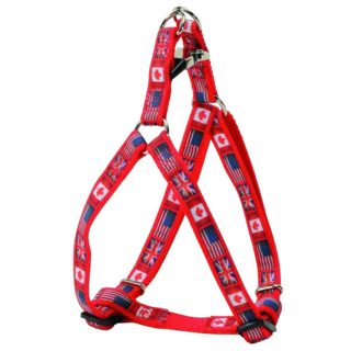 Camon Trupore per qen, Flags 20mm