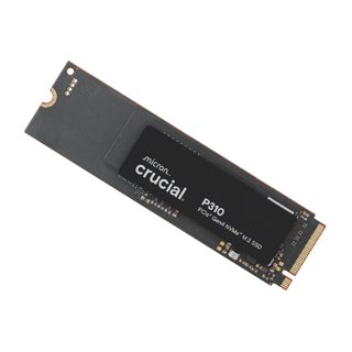 Crucial P310 500GB