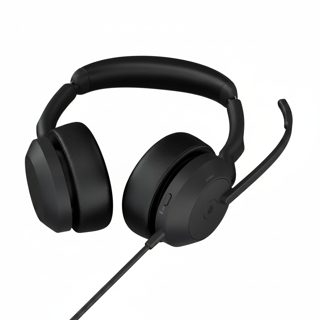 Jabra Evolve 2 50 Business Office Call Center USB-A USB-C Bluetooth 5 25089-999-799