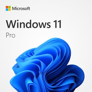 Microsoft Windows 11 Professional