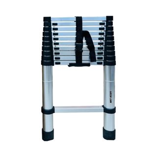 Green Lion Telescopic Ladder