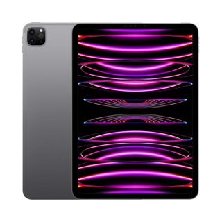 Apple iPad Pro 6th 256GB 13″ Liquid Retina Memory Storage Wi-Fi+Celular
