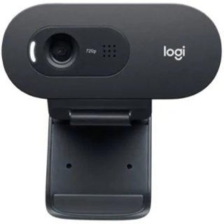 Logitech C505E