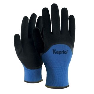 Kapriol 10 Doreza Pune Dimerore Winter